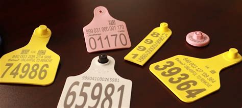 rfid race tag|rfid tags for livestock.